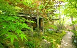 Nihon-no-Ashitaba