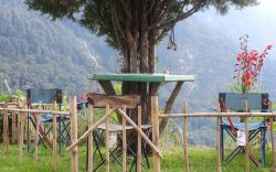 Bharat Homestay - The Native Himalayan