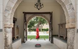 Tree of Life - Darbargadh, Resort in Dared