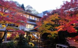 Negiya Traditional Japanese Spa Ryokan