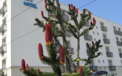 City Hotel
