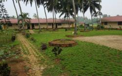 Budget Guest House and PG-6