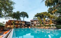 Birds and Bees Resort