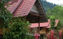 Khaosok Palmview Resort