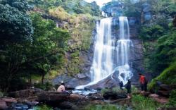 Kemmannugundi Hill Resort-Jungle Lodges