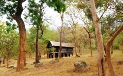 K Gudi Wilderness Camp-Jungle Lodges