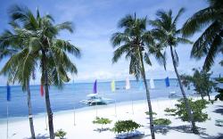 Malapascua Legend Water Sports and Resort