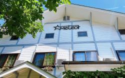 Hakuba Pension Meteor