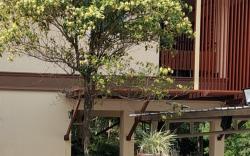 Sukthavorn Residence