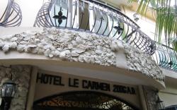 Chateau De Carmen Hotel