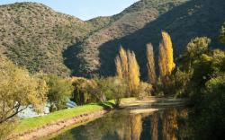 Old Mill Lodge , Working Ostrich Farm and Restaurant