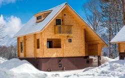 WADANO WOODS by Hakuba Hospitality Group
