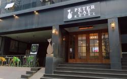 Petercat Hotel Sinchon (Hongdae)