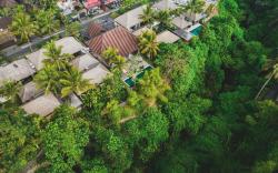 Luwak Estate