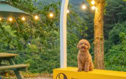 Gangneung Sinami68 Pension