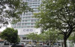 The CEO Duplex Studio Suite