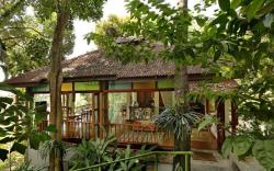 Ambong Rainforest Retreat