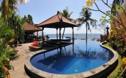 Paradise Palm Beach Bungalows