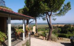 Agriturismo Poggio Pistolese at Montaione
