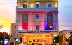 Hotel Apple Tree