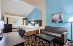 Best Western Plus Arlington North Hotel & Suites