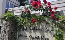 Hotel Shikino Kura