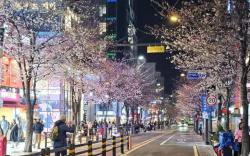 Long stay hostel Sinchon Hongdae
