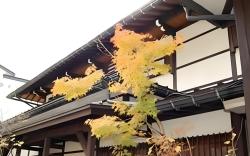 Okuhida Onsengo Nakadaya