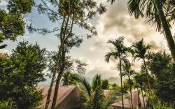 Grassroots Wayanad, Valley-View Tents