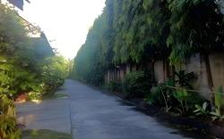 Palm Chalet Resort