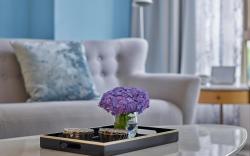 Lanson Place Winsland