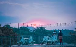 Wild Elephant Eco-Friendly Resort
