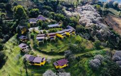 Maesalong Mountain Home Resort