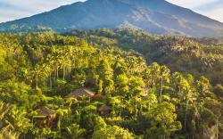 Sarinbuana Eco Lodge