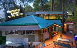 Blossom Resort Kasauli