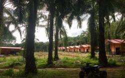 Khao Sok Evergreen House