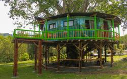 CASA DEL ÁRBOL FINCA LA FLORESTA VERDE