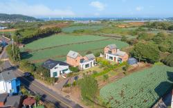 Jeju brickninemansion
