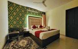 Bay leaf by Live Inn