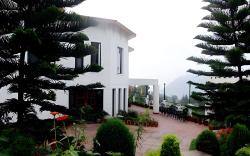8fold-Pinecrest by LaRiSa, Bhimtal