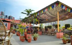 Chill Out Resort