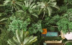 The Nest in Ubud, Bembengan Cottages