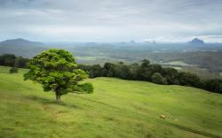 Tranquil Park Maleny