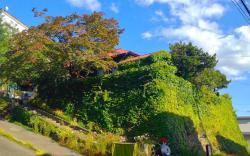The Otaornai Backpacker's Hostel Morinoki