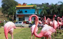 Vijaya Hill View Residency 