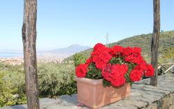 Agriturismo Casa Scola 