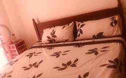 The paradise(35$ for night)