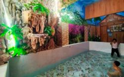 Villa kolam renang JatimPark BNS Night Spectakuler