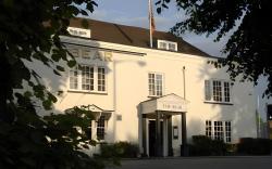 The Bear Esher