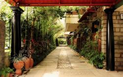 The Green Path Eco Hotel
